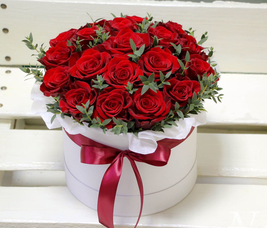 img-0491.jpg
